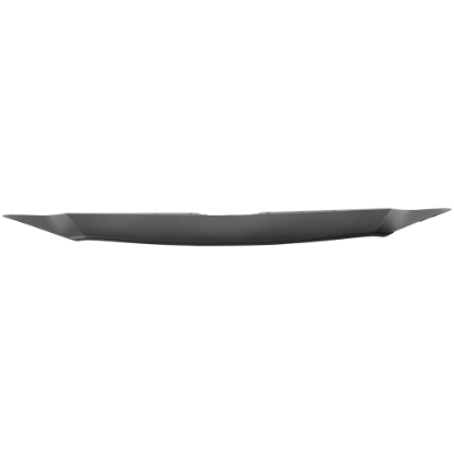 Picture of Radiator Support Cover
