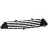 Picture of Bumper Grille