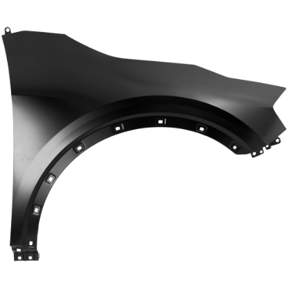 Picture of Fender