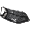 Picture of Bumper Grille