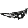 Picture of Grille Assembly