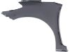 Picture of Fender