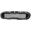 Picture of Grille Assembly