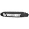 Picture of Bumper Grille