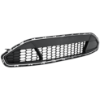 Picture of Bumper Grille