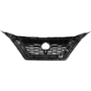 Picture of Grille Assembly