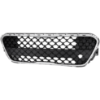 Picture of Bumper Grille