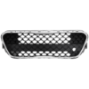 Picture of Bumper Grille