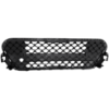 Picture of Bumper Grille