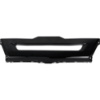 Picture of Bumper Trim