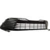 Picture of Bumper Grille