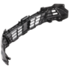 Picture of Bumper Grille