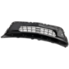 Picture of Bumper Grille