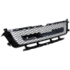 Picture of Bumper Grille