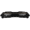 Picture of Grille Assembly