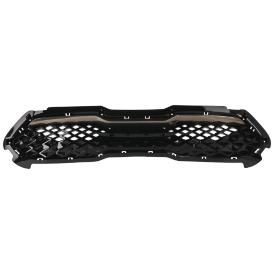 Picture of Grille Assembly