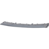 Picture of Bumper Trim