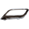 Picture of Bumper Trim