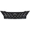 Picture of Grille Assembly
