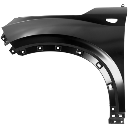 Picture of Fender