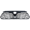 Picture of Grille Assembly