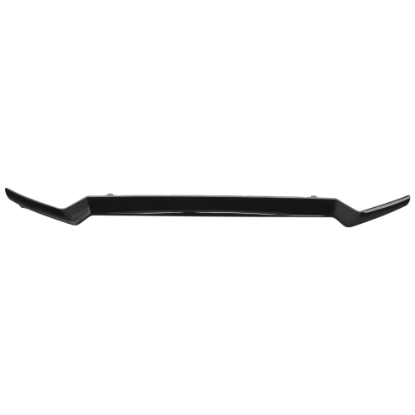 Picture of Grille Trim