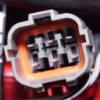 Picture of Tail Light