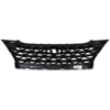 Picture of Grille Assembly