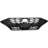 Picture of Grille Assembly
