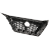 Picture of Grille Assembly