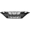 Picture of Grille Assembly
