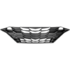 Picture of Grille Assembly