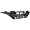 Picture of Grille Assembly
