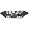 Picture of Grille Assembly