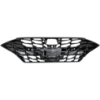 Picture of Grille Assembly