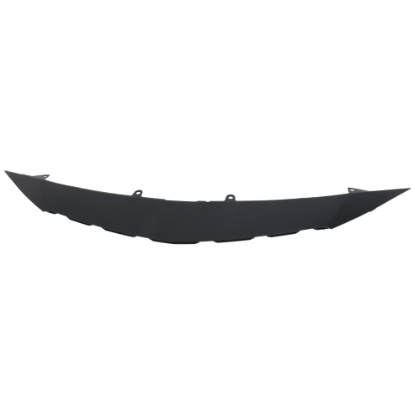 Picture of Grille Trim