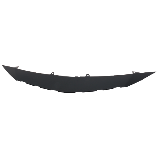 Picture of Grille Trim