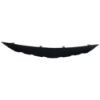 Picture of Grille Trim