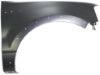 Picture of Fender
