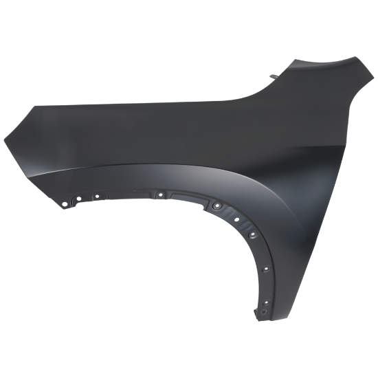 Picture of Fender