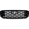 Picture of Grille Assembly