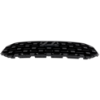 Picture of Grille Assembly