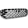 Picture of Grille Assembly