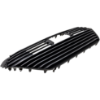 Picture of Grille Assembly