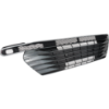 Picture of Bumper Grille