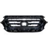 Picture of Grille Assembly