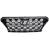 Picture of Grille Assembly