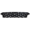Picture of Grille Assembly