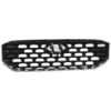 Picture of Grille Assembly