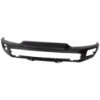 Picture of Bumper